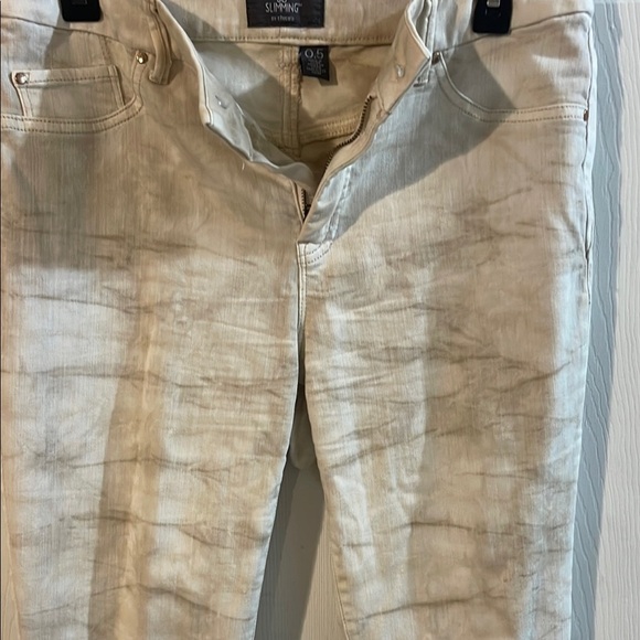 Chico's Elegant Cream and Gray Skinny Pants - Picture 4 of 9